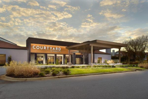 Отель Courtyard Greenville Haywood Mall  Гринвилл